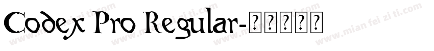 Codex Pro Regular字体转换